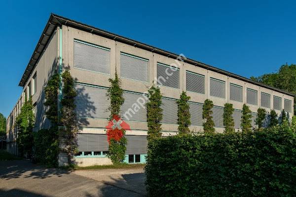 Schulen am Maiengrün