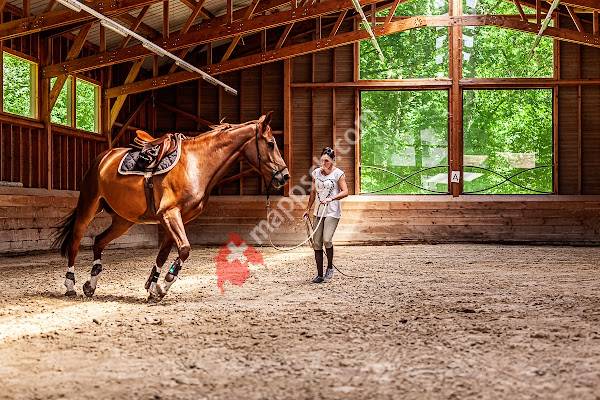 Segura Horse Team