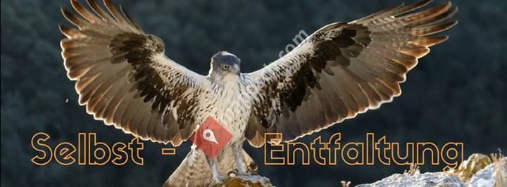 Selbst - Entfaltung