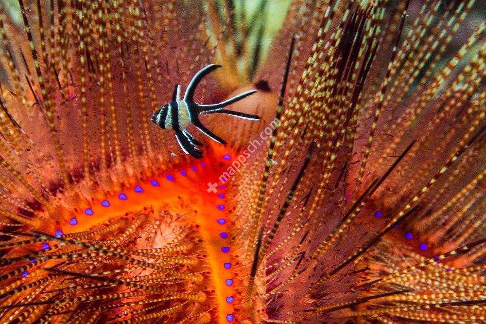 Seleger Sportstravel