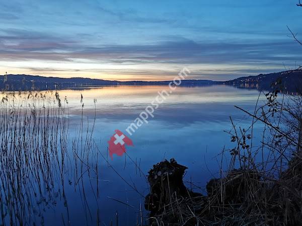 Sempach Stadt, Vogelwarte