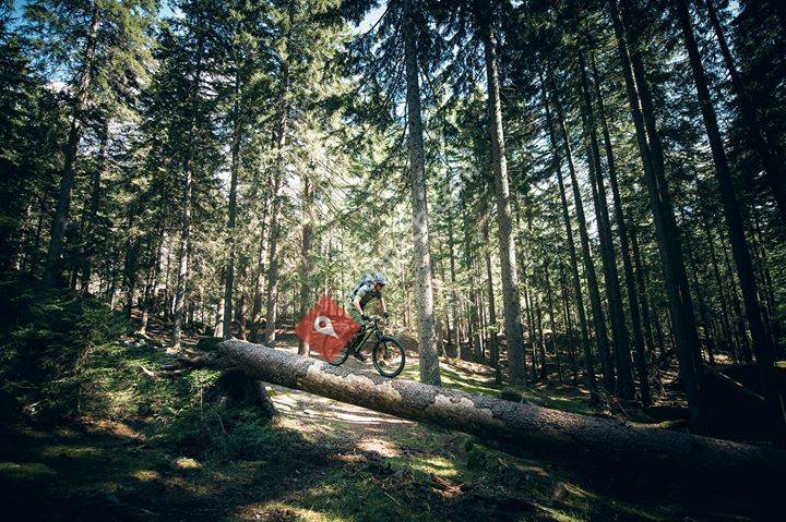 Skiservice Corvatsch