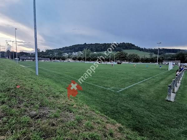 Sportplatz Schönenwerd