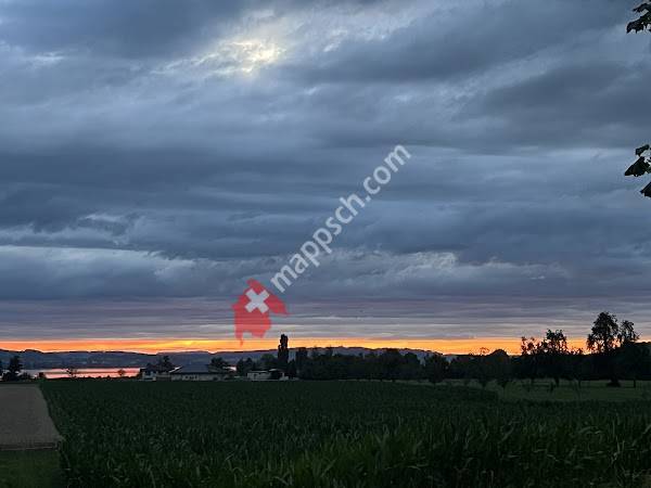 Station Ornithologique