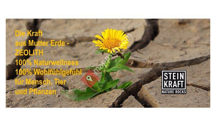 Steinkraft Zeolith Schweiz