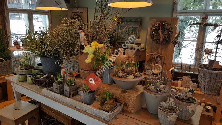 Sterndolden Artelier