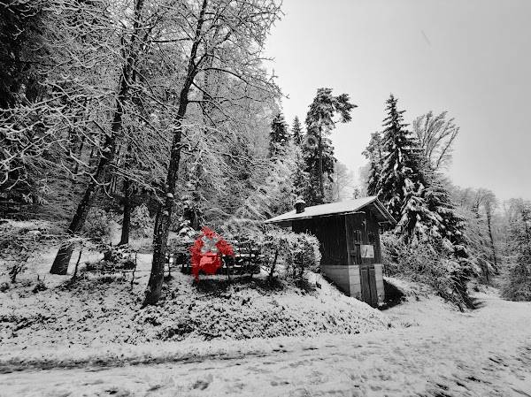 Stiftshütte Bireggwald