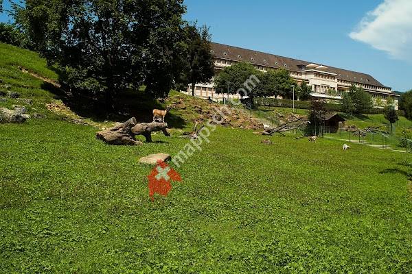 Stiftung Tierpark Weihermätteli