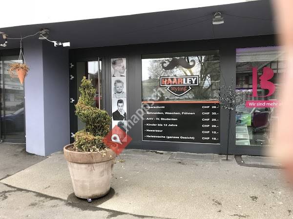 Styling Salon HAARLEY