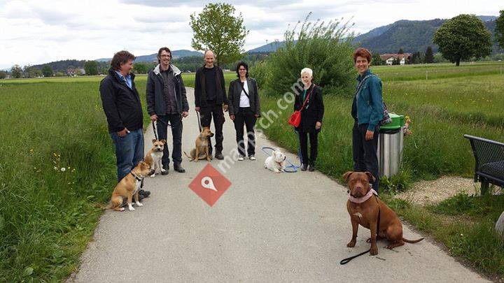 Surbers mobile Hundeschule