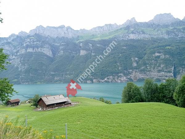 Tauchplatz, Mols Broder