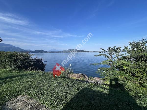 Tauchplatz Rigiblick