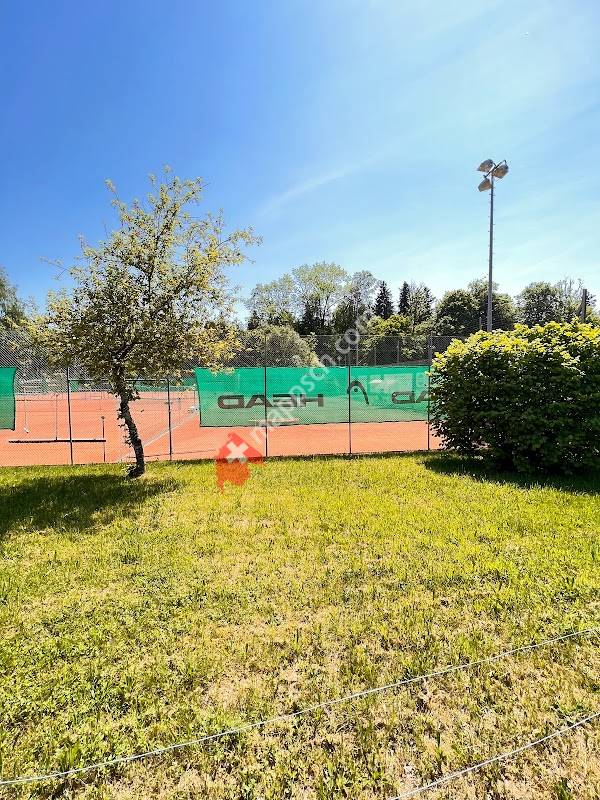 Tennisclub im Hau Witikon