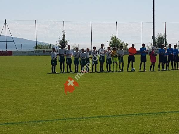 Terrain De Football De Fontainemelon