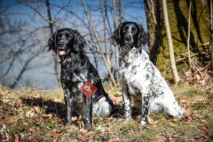Tierarztpraxis Kreuzberg AG