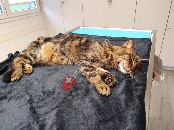 Tierarztpraxis Schönenboden AG