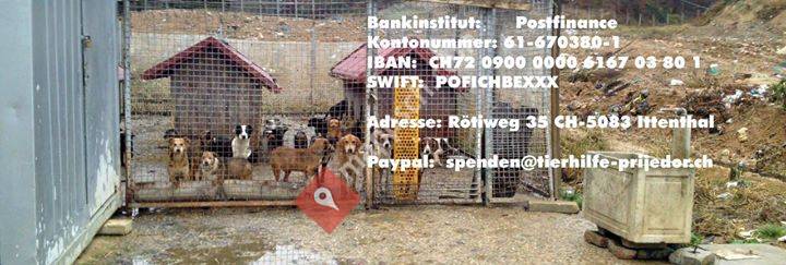 Tierhilfe Prijedor