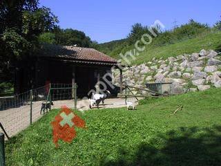 Tierpark Weihermätteli