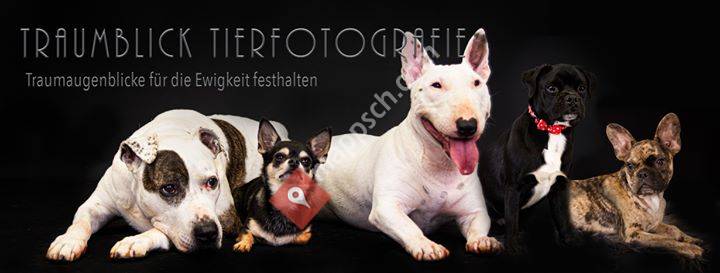 Traumblick Tierfotografie