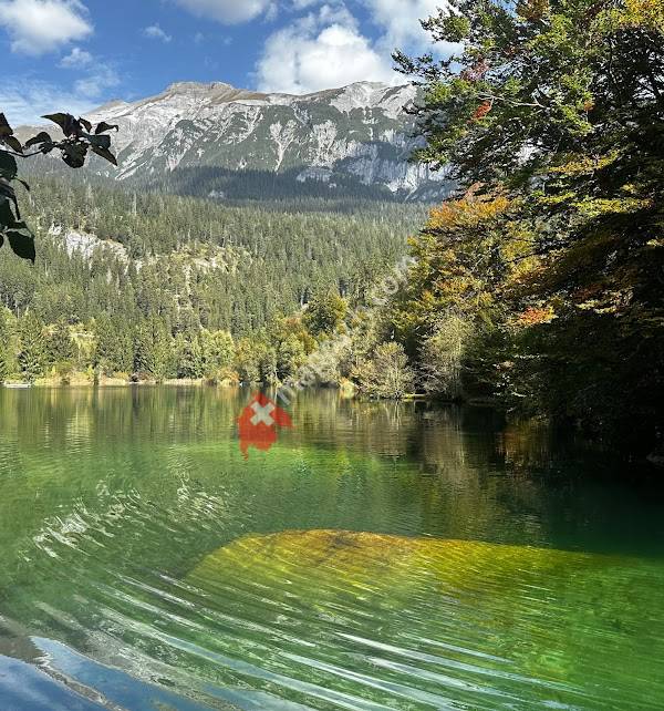 Trin Mulin, Crestasee