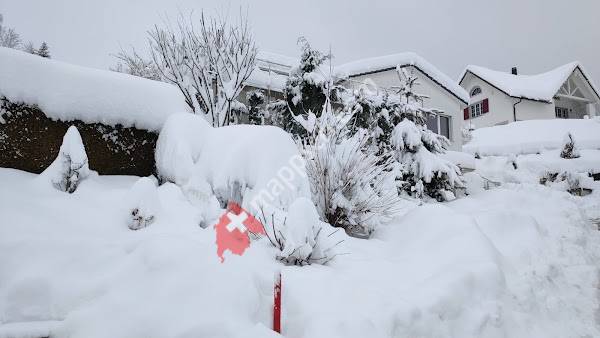 Uetliburg SG, Birkenhalde