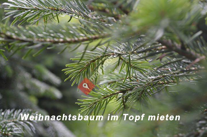 Unser Baum