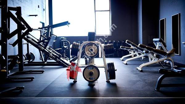 update Fitness Wittenbach