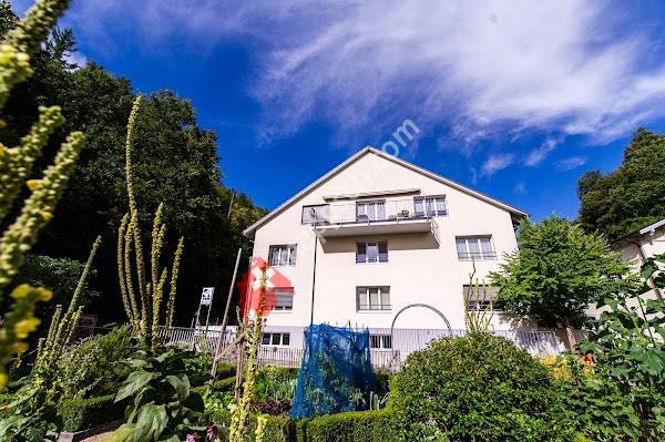 Verein für Blindenhunde und Mobilitätshilfen VBM