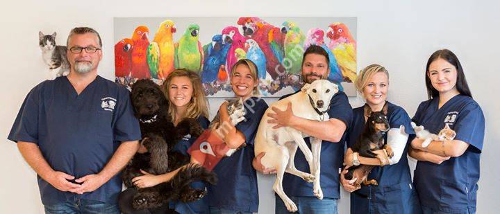 Volki Tierarzt - Kleintierpraxis Mahncke