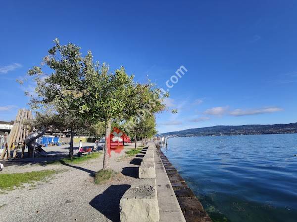Wädenswil
