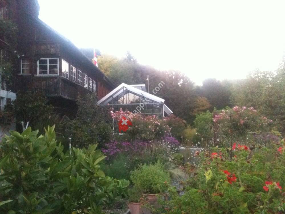 Wachter + Wachter Gartenbau