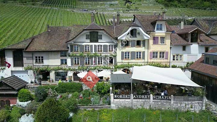 Weingut Andrey Schafis