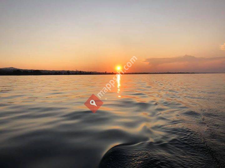 Widmer & Widmer Finanz- und Immobilientreuhand