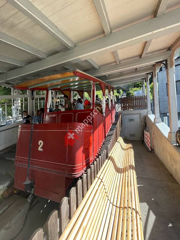 Willigen (Reichenbachfallbahn)