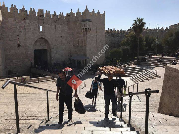 Young Leaders To Israel - YLTI