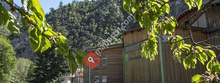 Zanella Holz