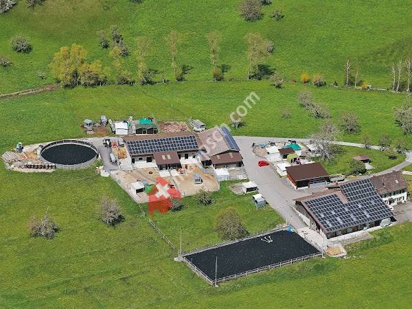 Zucht- und Pensionsstall Steinmatt