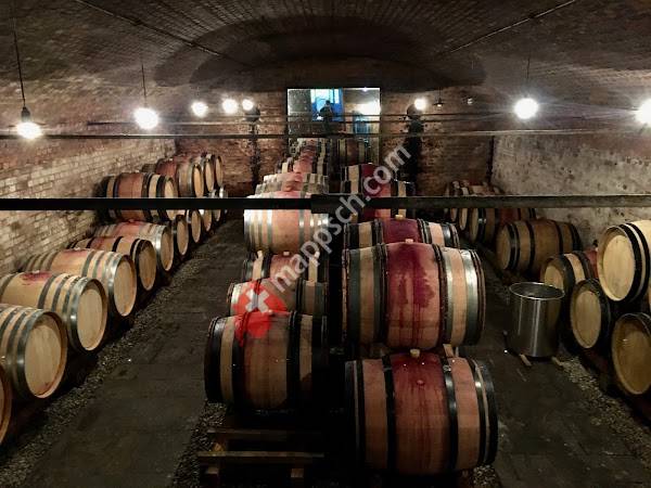 Zündel Azienda Agricola